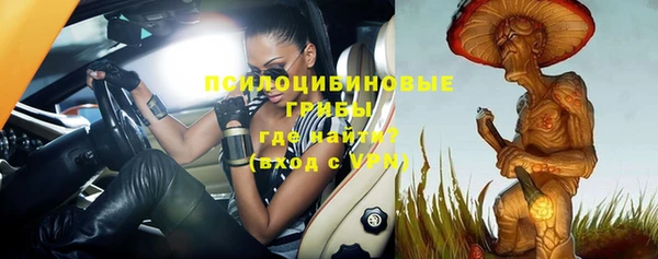 стафф Волоколамск