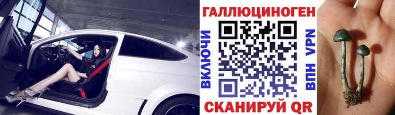 магазин  наркотиков  Махачкала  Галлюциногенные грибы Psilocybe 